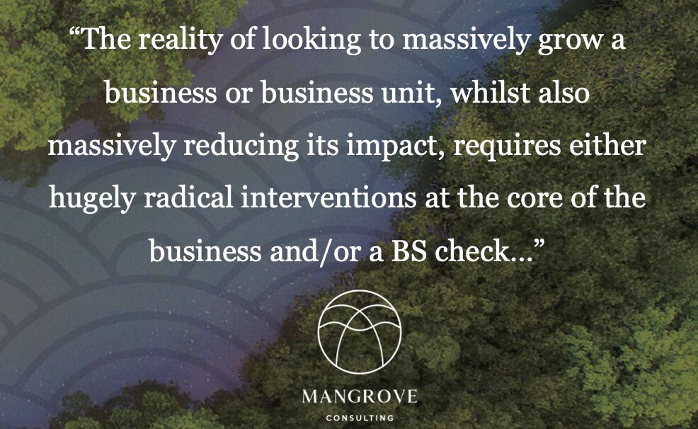 Singular strategy: why it makes no sense to have separate sustainable and growth strategies.