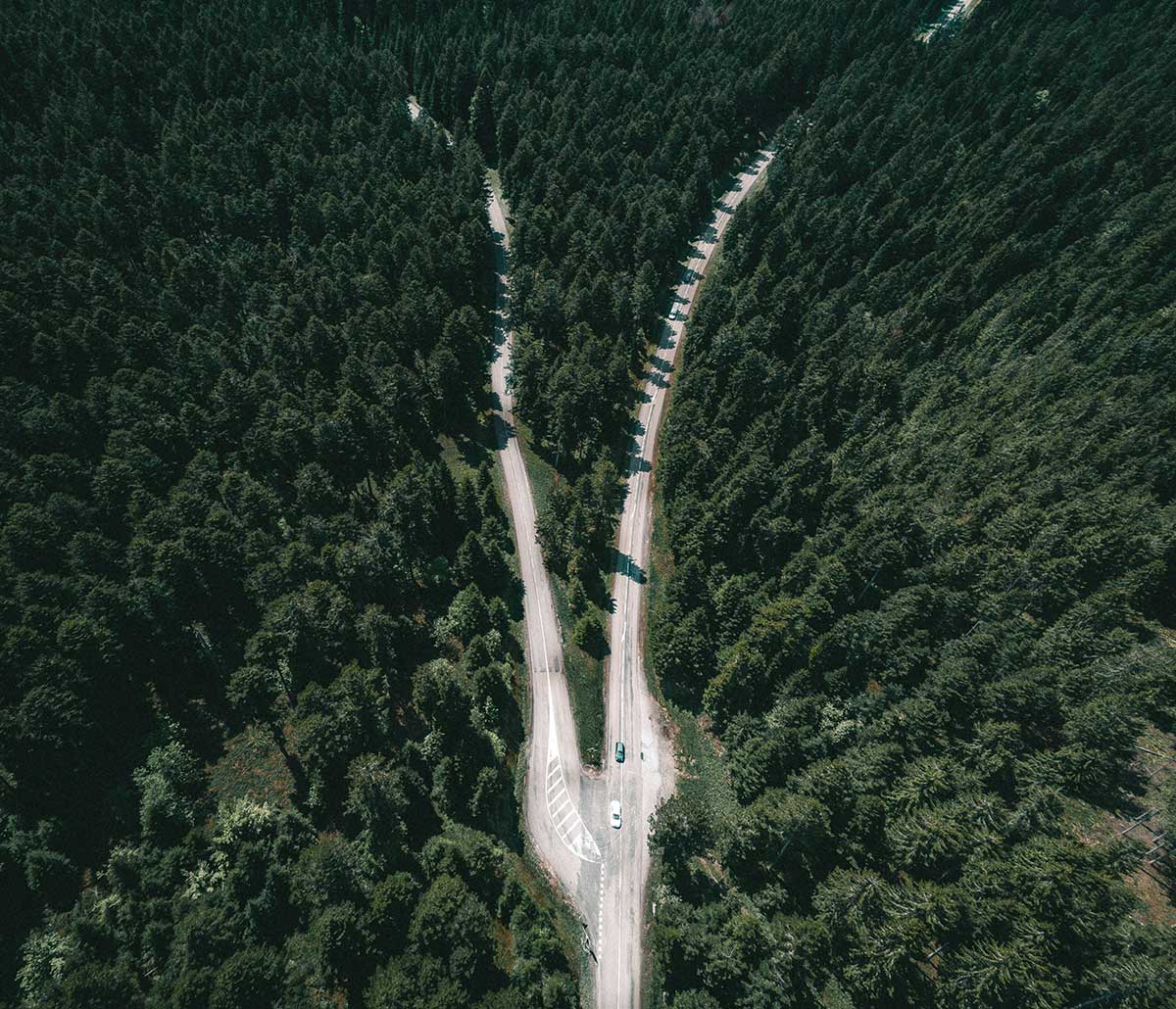 Innovation opportunity means making choices - Mangrove Consulting